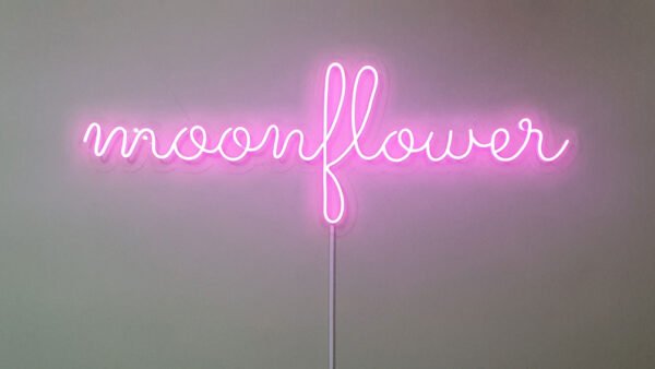 Text luminos led moonflower brasov