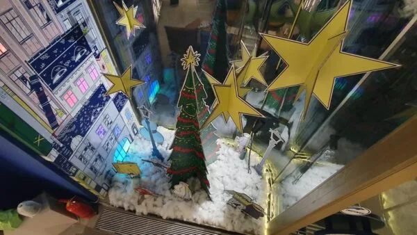 Vedere de sus interior vitrina