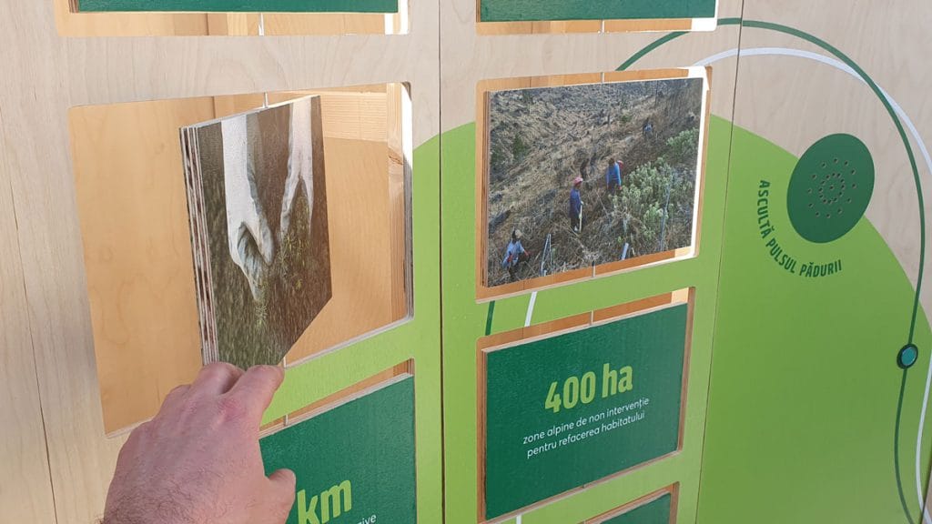 Detaliu structură stand expozițional modular din lemn